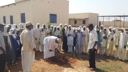 Tree for Harmony in Sudan